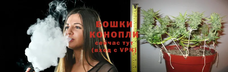 купить закладку  Краснозаводск  МАРИХУАНА Ganja 